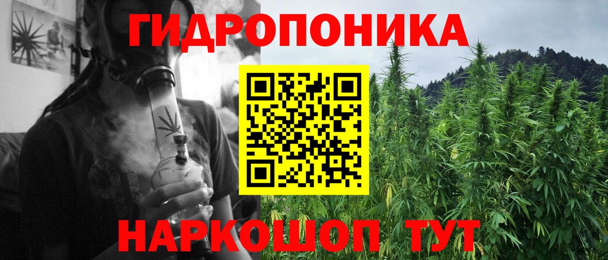 Каннабис SATIVA & INDICA  Бошки марихуана семена  Чайковский  Каннабис SATIVA & INDICA  Вход с VPN 